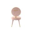 Modrest Haswell Glam Pink Velvet Accent Chair (Set of 2)